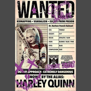 Harley Quinn Wanted Suicide Squad Poster
