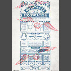 Harry Potter Quidditch Rules Poster