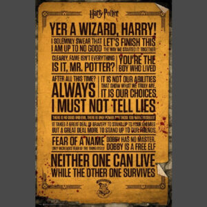 Harry Potter Quotes Infographic Poster