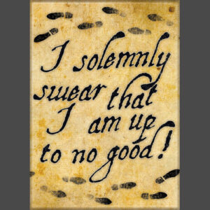 Harry Potter Solemnly Swear Magnet