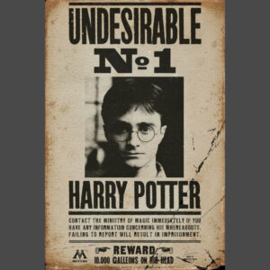 Harry Potter Undesirable No. 1 Poster