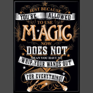 Harry Potter Whip Wands Out Magnet