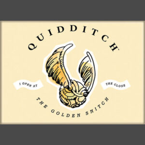 Harry Potter Whimsy Quidditch Magnet