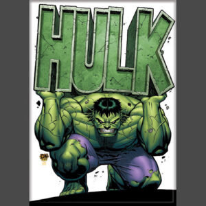 Hulk Holding Name Magnet