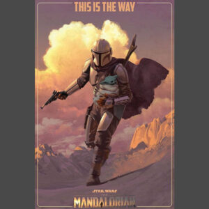 Mandalorian On the Run Poster
